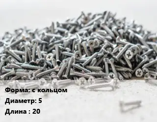 Шуруп с кольцом 5х20